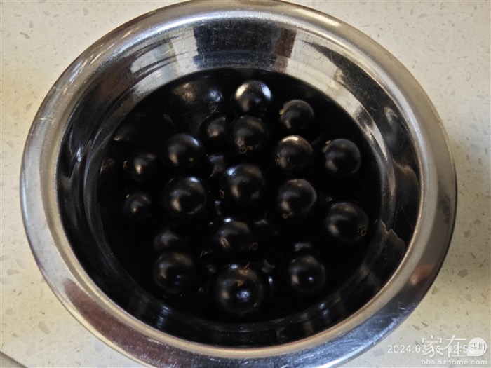 超好吃的嘉宝果也叫树葡萄