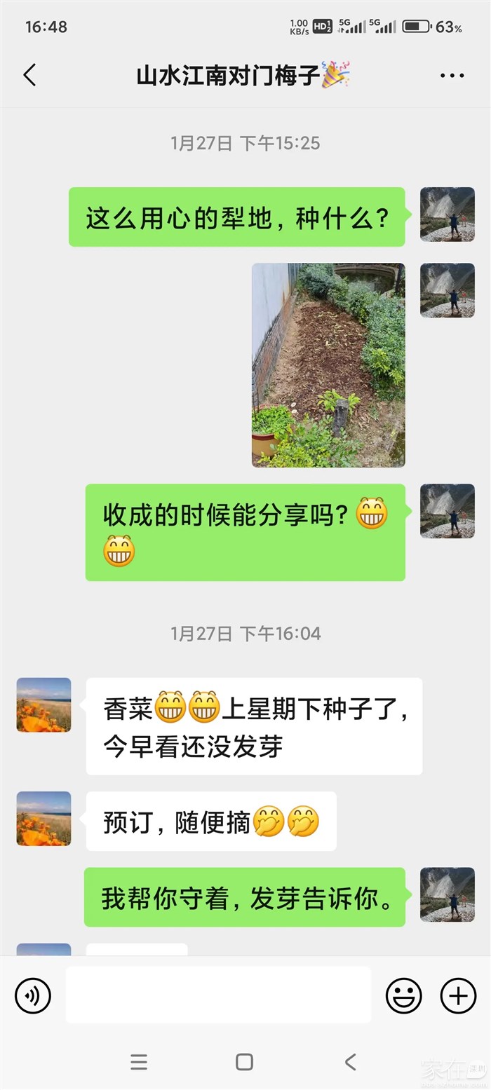 今年这是什么气候，邻居1月27号下的香菜种到现在才长成这样。