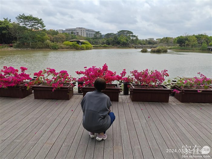 领导照例见花就拍