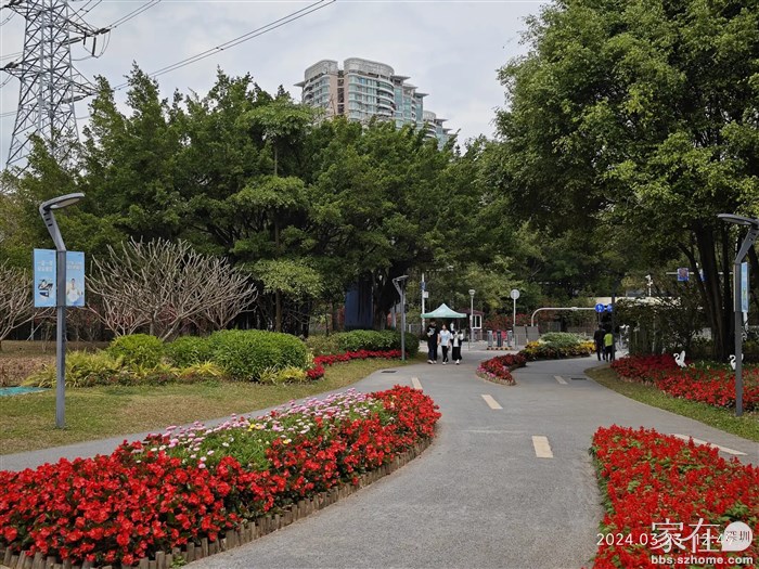 我家小区就在这个公园马路对面