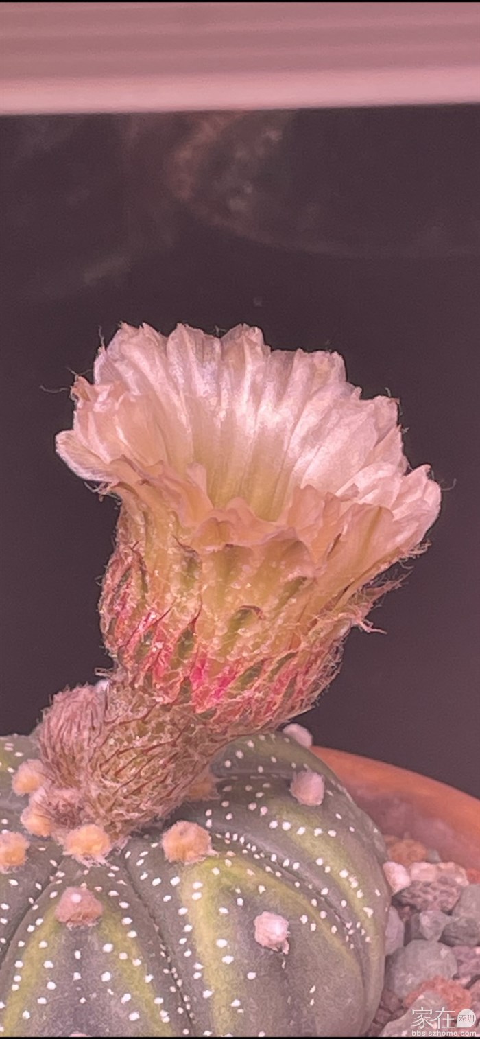 我的发光兜，把我看得一愣一愣的