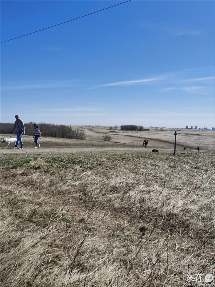 今天天气很好，很多人出来骑自行车遛狗，谁能想到下周又要降温下雪了呢