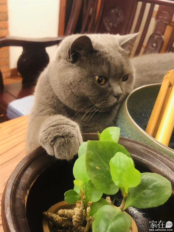 我帮看看这是什么情况哈