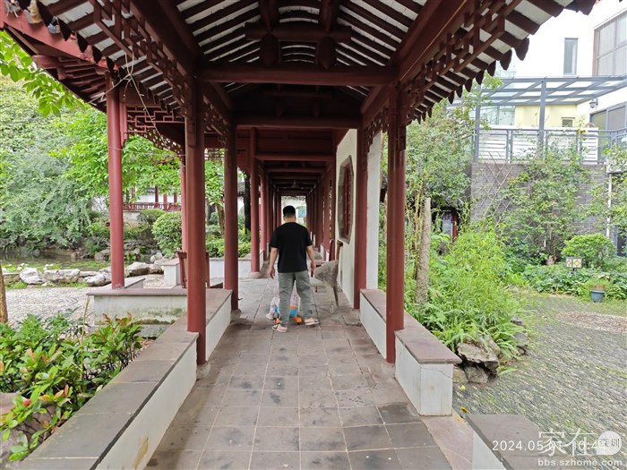 溜娃的老爸点赞