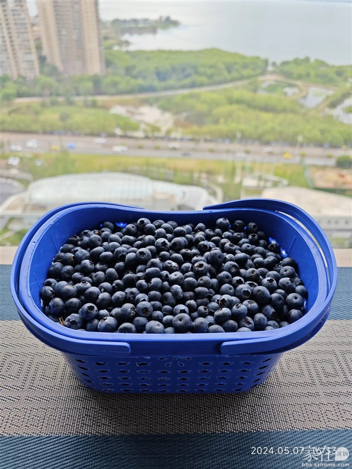 路上买的蓝莓，4斤130元，虽小但超好吃。