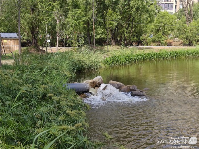 其实这里建的不是湿地公园，只是一个入洱海的过滤沉淀物的缓冲地带。