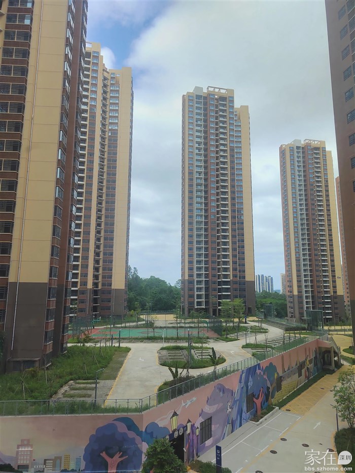 花园里的篮球🏀场