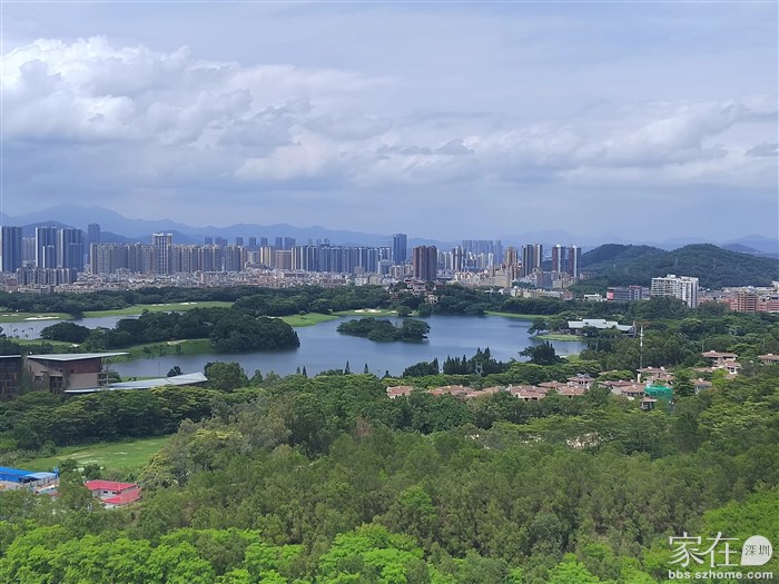 高尔夫美景一览无余