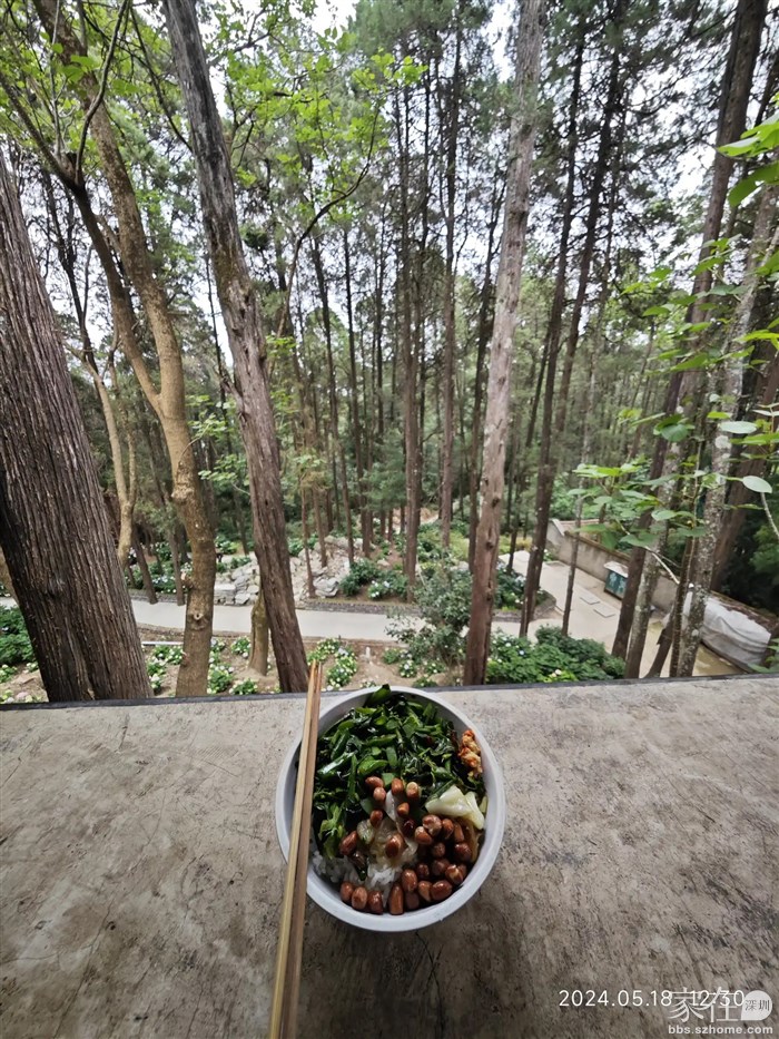 这环境下吃斋不错吧，可惜今天不见松鼠。