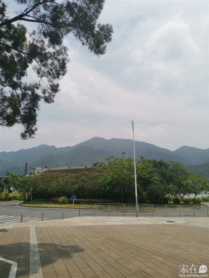 学堂是被车道围起来的