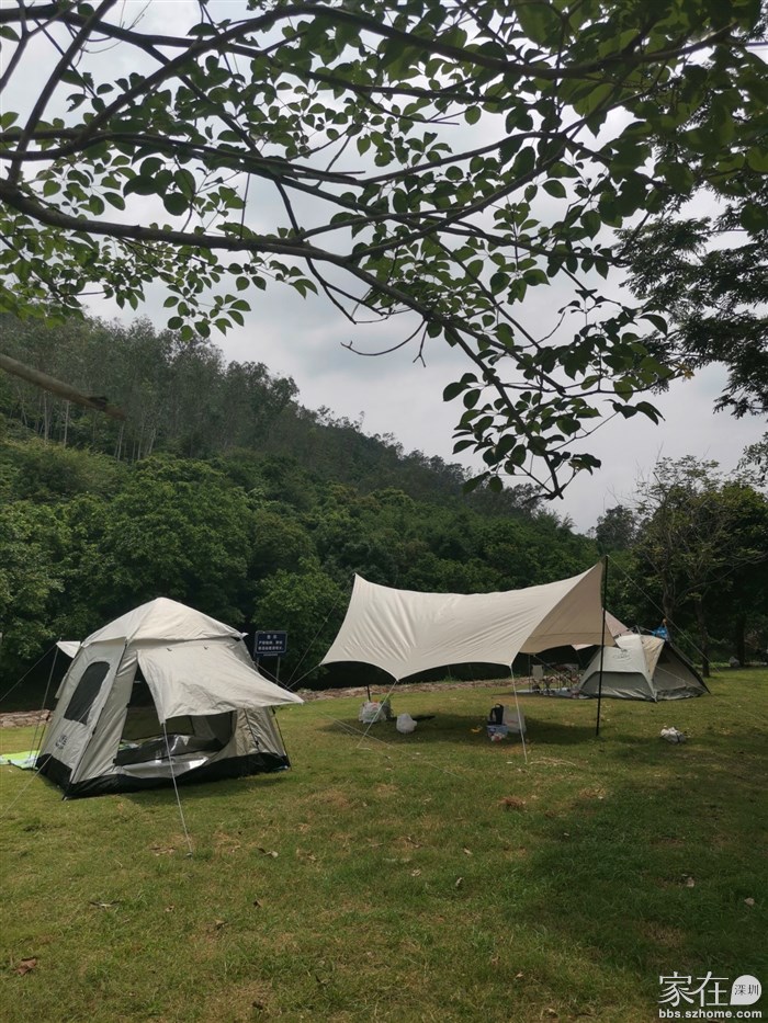 都是帐篷、烧烤、野炊……