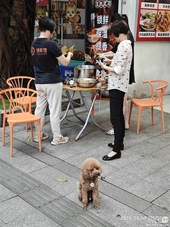 到处都见包棕子