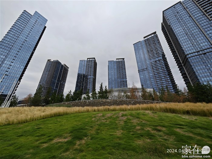 每次走到小区对面总忍不住拍照展示一下。