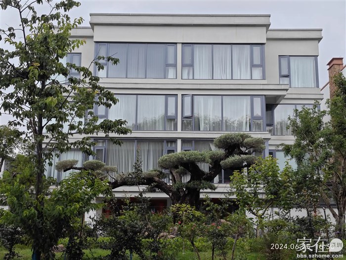 这棵树应该是这栋别墅主人自己种的