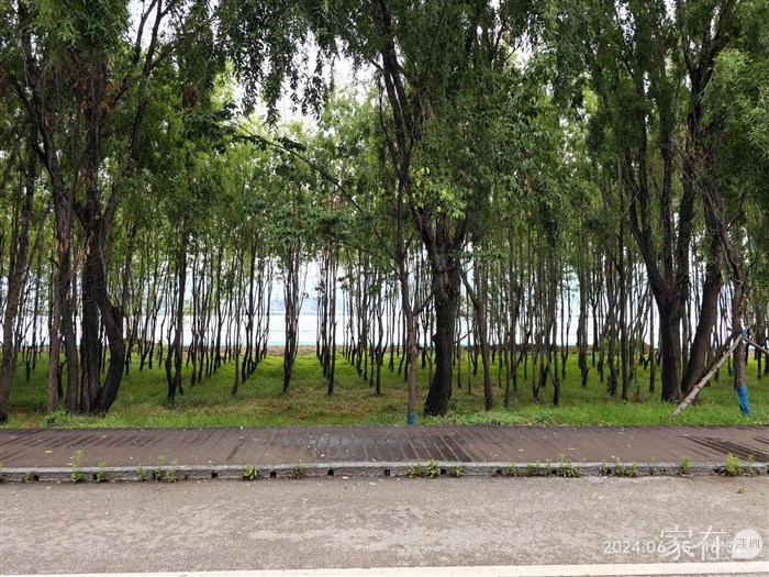 这拣别墅前面所见