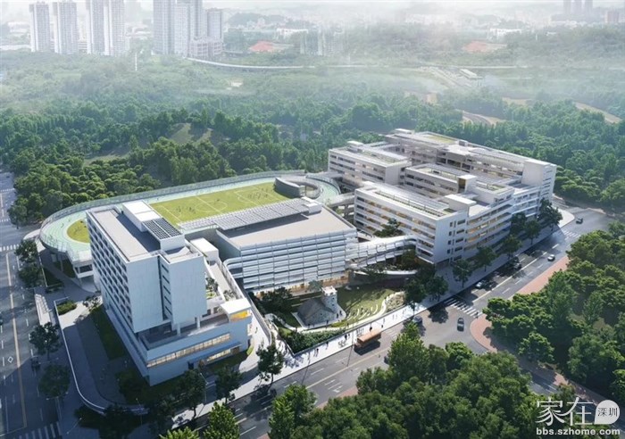 南方科技大学附属山夏学校