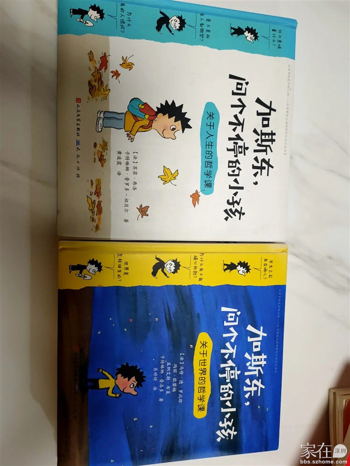 加斯东，问个不停的小孩，4元2本
