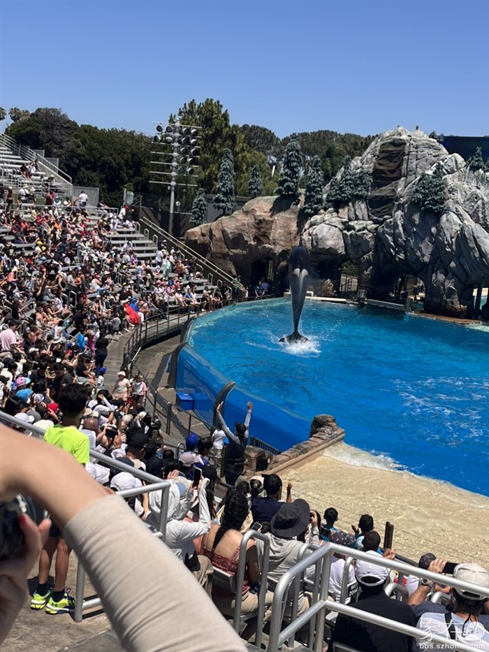 Sea world 虎鲸表演秀