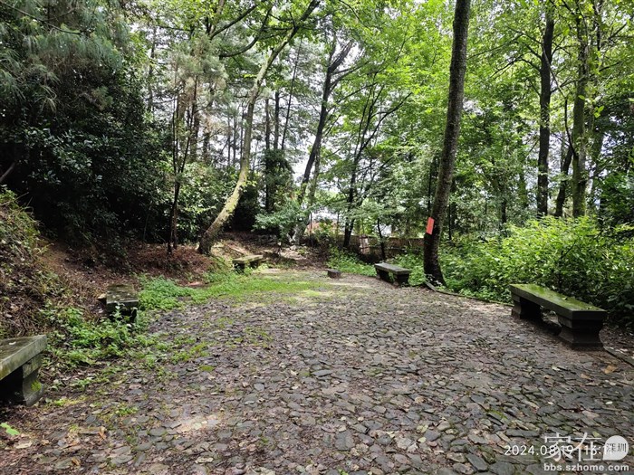 在这发呆吸氧超舒服