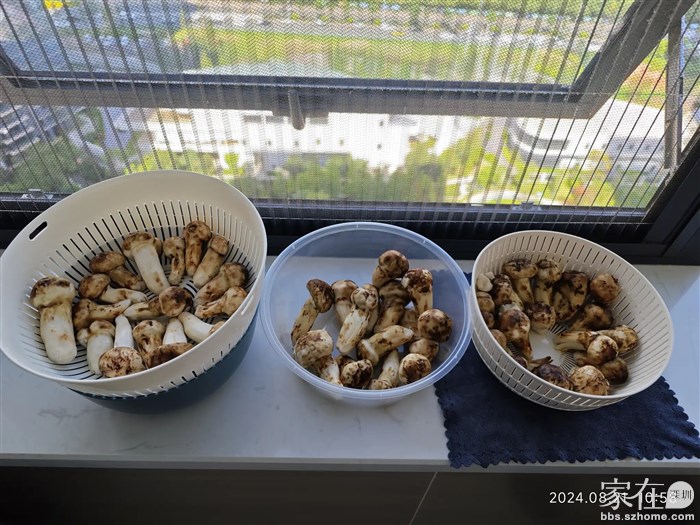 洗好后先晾干一点再切片冷冻