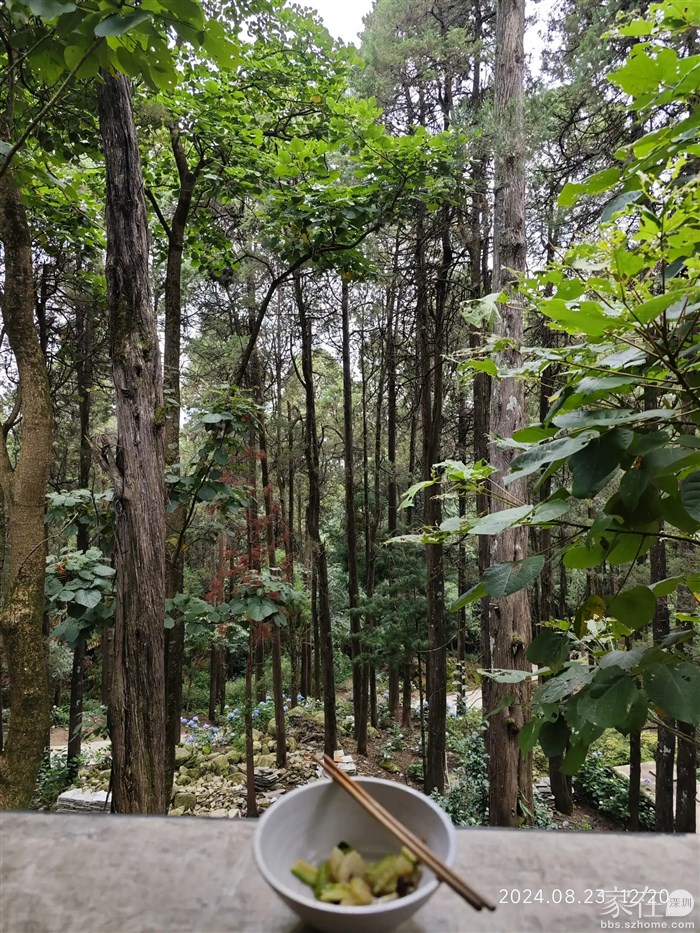 吃完饭发发呆吧