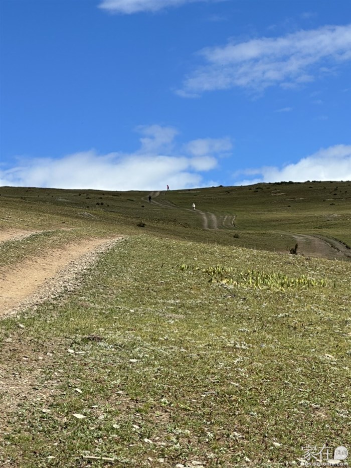 看到顶上那三只小蚂蚁了吧