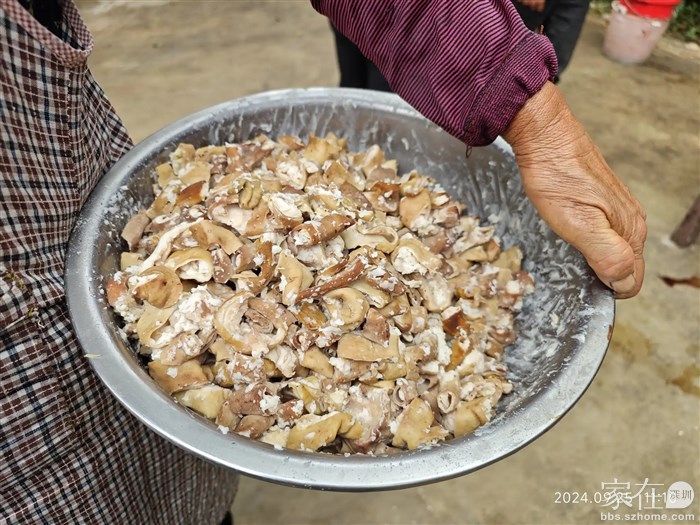 这些都是今天晚上才吃的菜。