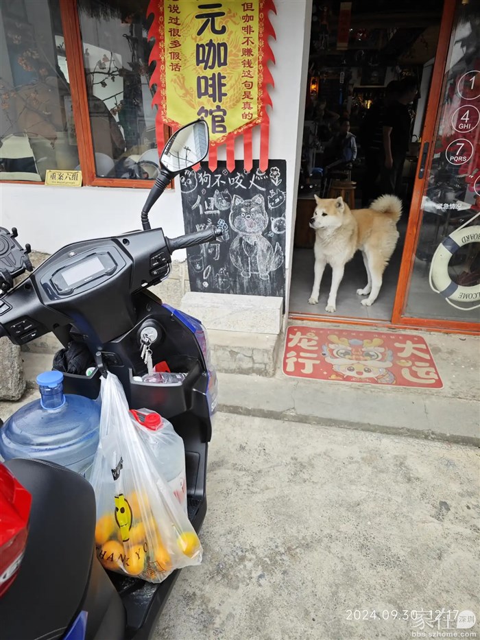 今天来此收获的一袋柿子