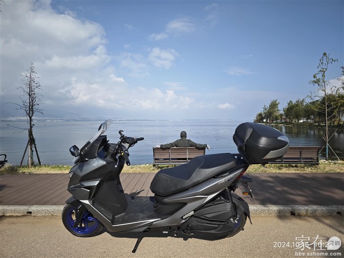 来到小区对面生态廊道，以前经常坐着发呆看鸭子的地方现在水面的植被全被清理了，鸭子也不见。