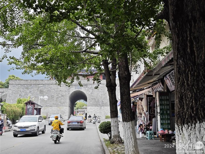 这里的银杏还没黄