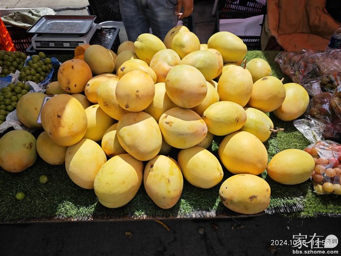 这么大的芒果也才10元3斤