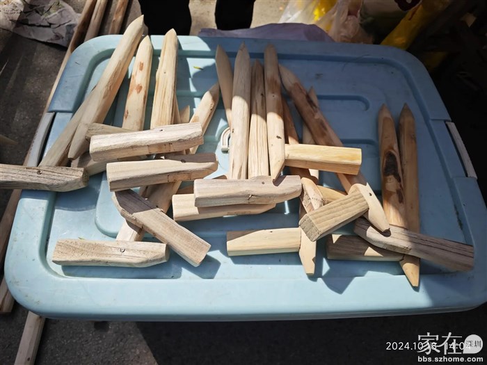 知道这是什么吗，老农讲是捶背的，领导还真的拿来试了一下，痛，老农哈哈大笑，讲这其实是种蚕豆的，尖的那头插进土里就放一个蚕豆种子。