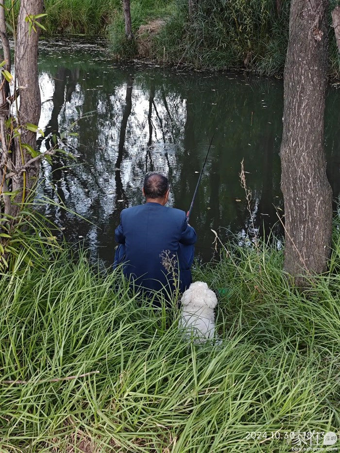 总有偷偷钓钓鱼的