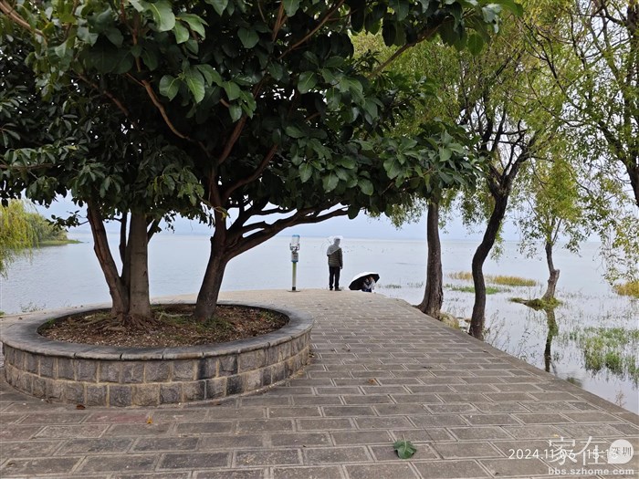 这里其实也可以摆上桌凳发呆的