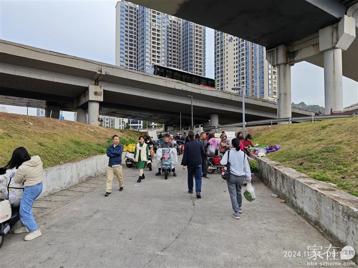 立交桥下也成了菜市场了