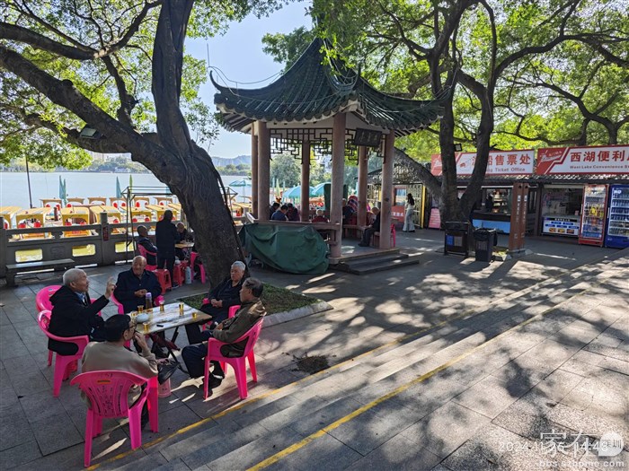 这些是候鸟旅居惠州的