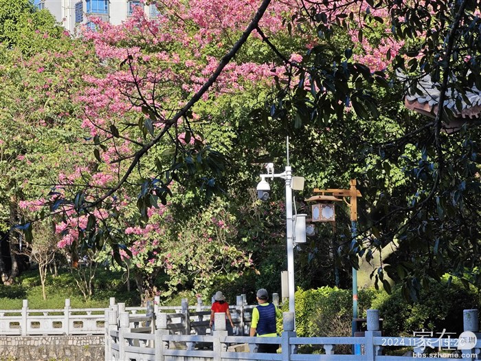 这2位是自驾海南旅游经过惠州的