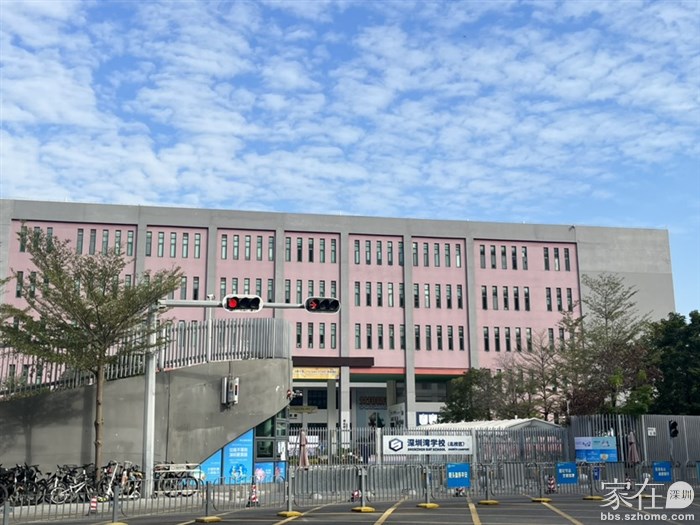 深圳湾中学，一所值得期待的好学校，有自己的网球，排球俱乐部，重视体育，英语，培养个性发展的好学校。