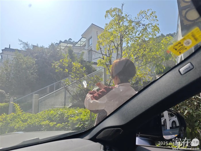 经过这棵小橘子树领导又手发痒见到果子就摘