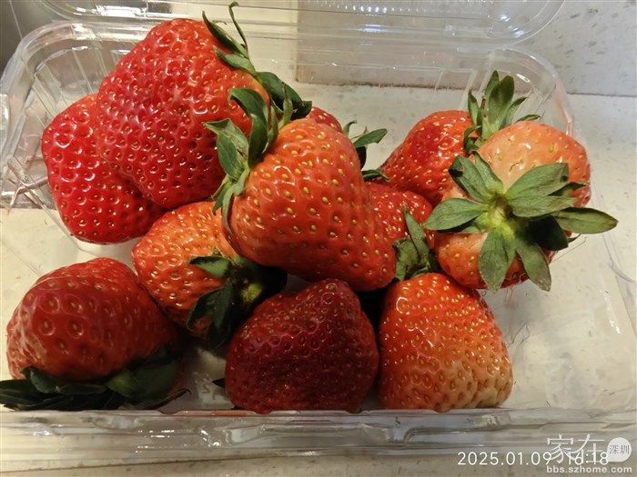 25元一斤的牛奶草莓，很便宜了。