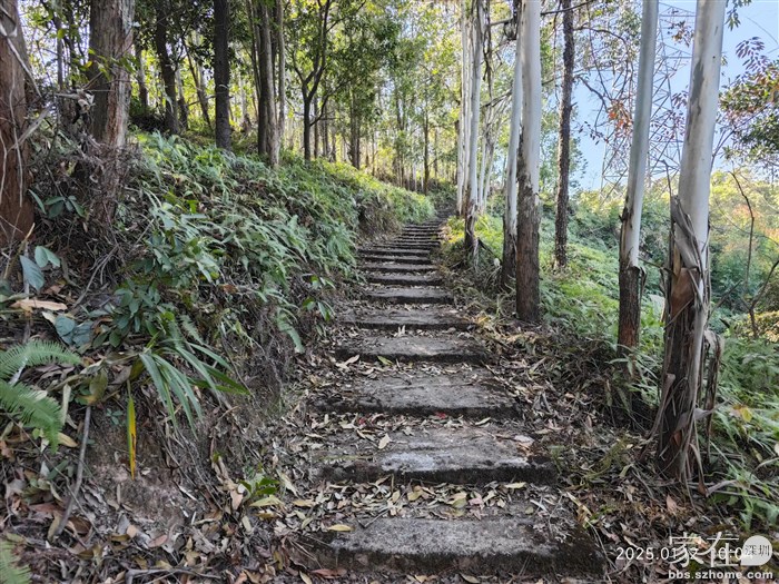 看来物业还是做了清理的