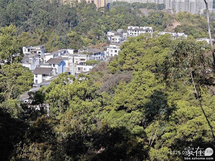 藏于山里的村子