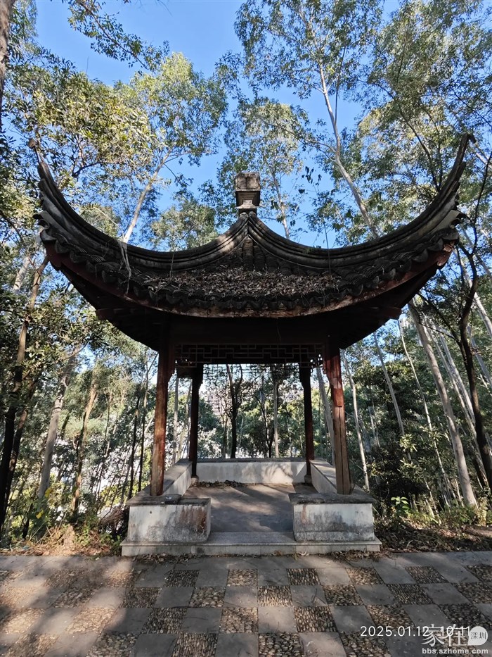 小区里的亭子都倒了要重建，山上的反而没被白蚁破坏。