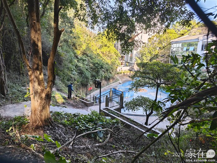 荒废的泳池是种菜的好地方