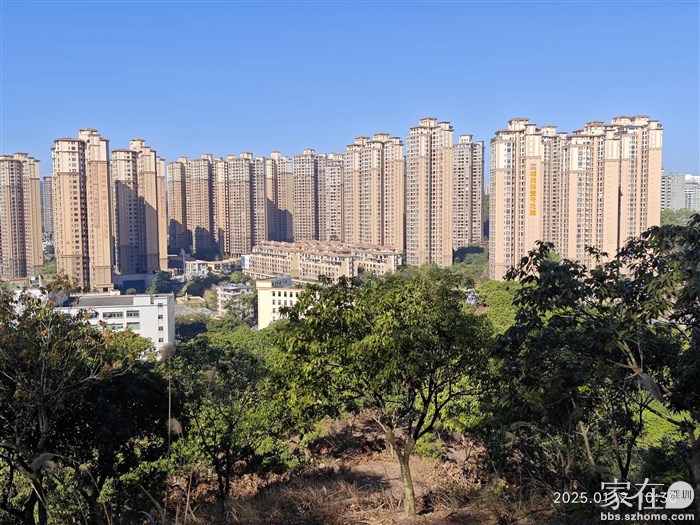 仲恺大道对面的佳兆业小区，一期的1号位置属惠城，二期的可园就属于仲恺了。