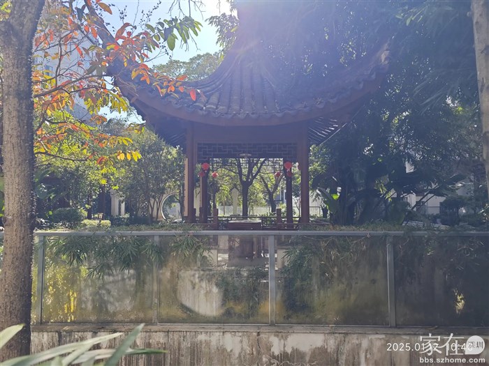 下山回到村子里了