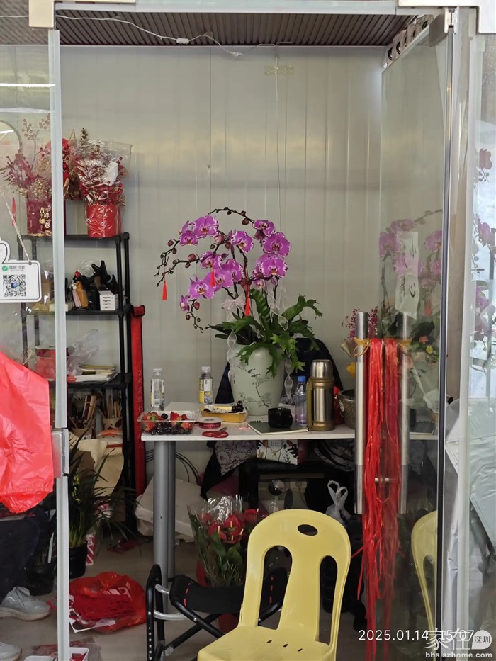 拿来花瓶让画师弄了个蝴蝶兰造形