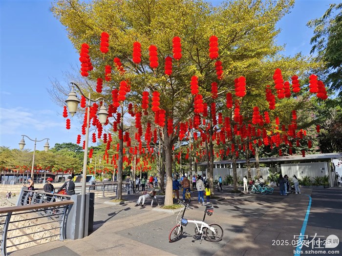 要过年了，喜庆的灯笼。