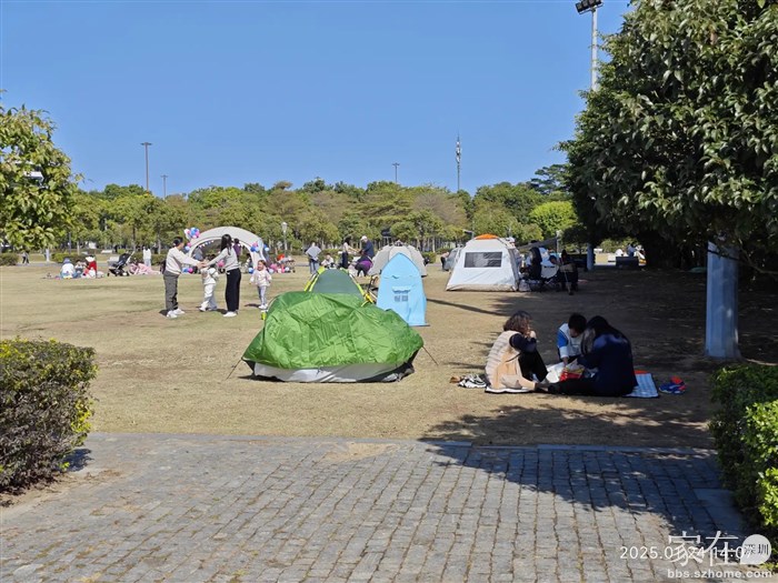 蛇口人喜欢露营懂得享受