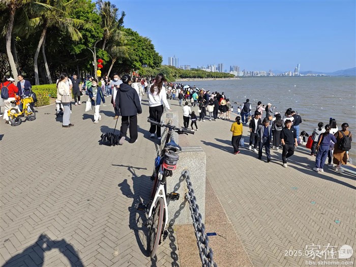 深圳湾的地铁站还是乌泱乌泱的人流